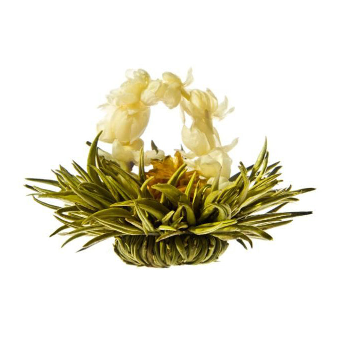 white tea and lily plug in White Tea with Jasmine & Lily – Miss Tea