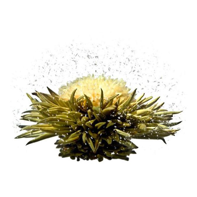 Miss Tea - Blooming Teas - New York