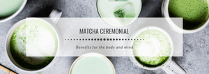 Matcha Ceremonial: benefits for the body and mind