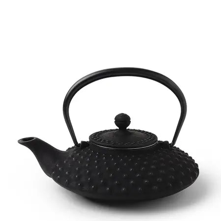 Cast Iron Teapot Flat Hailstone
