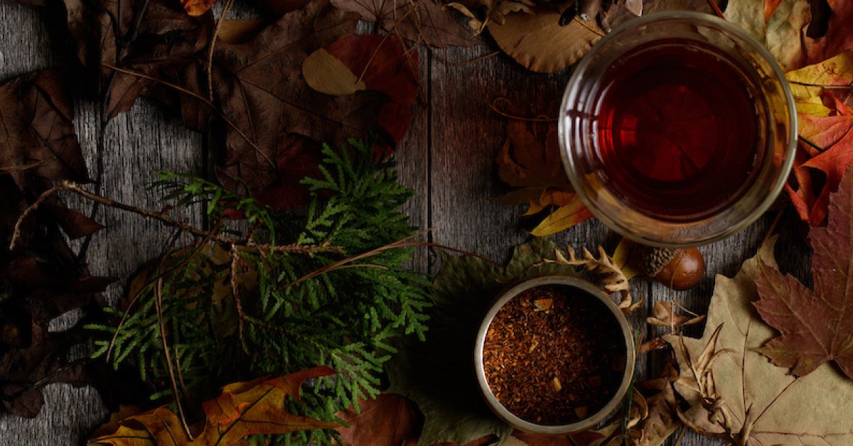 Virtual Tasting - Autumn Wellness Teas