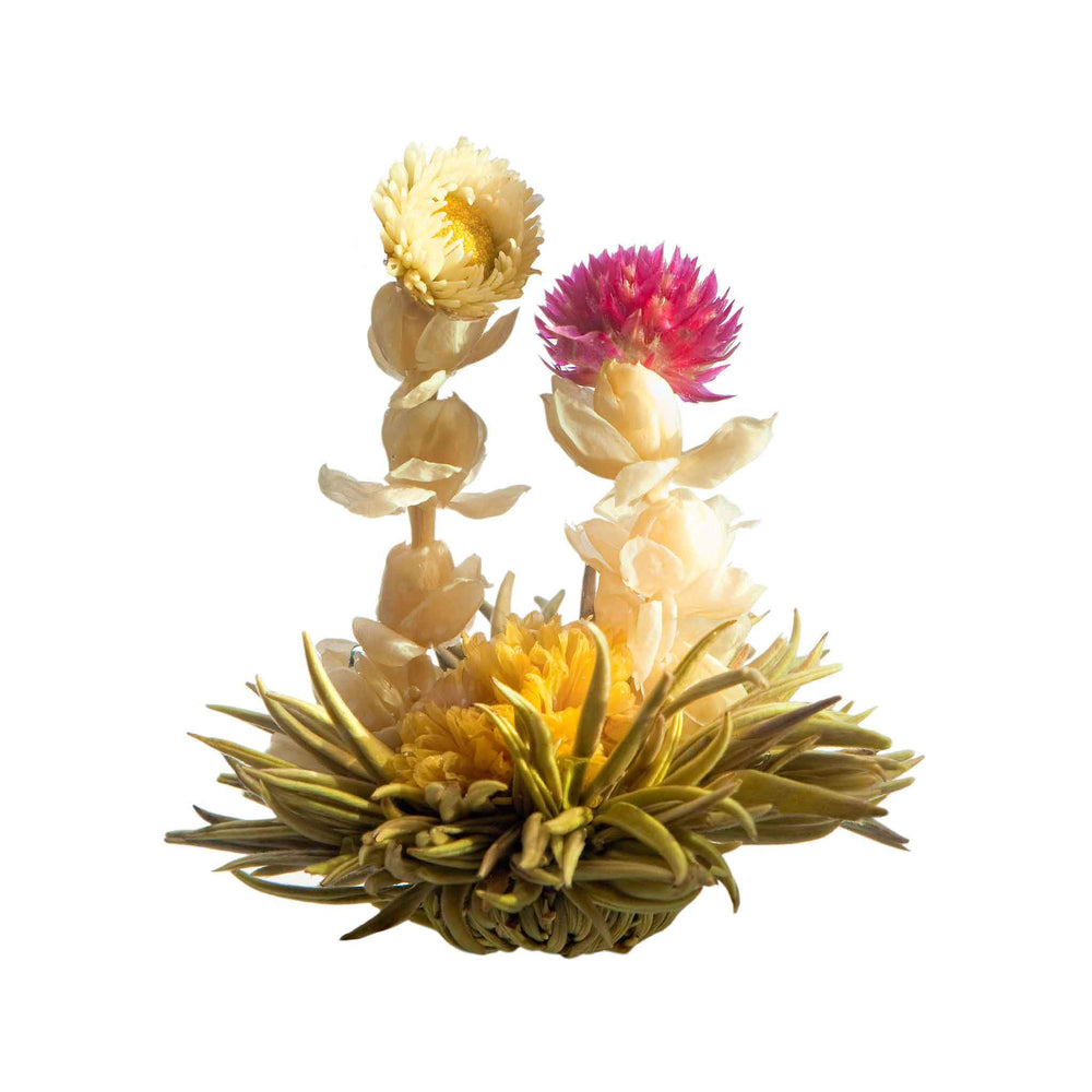 Chrysanthemum, Amaranth & Jasmine